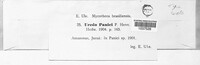 Image Associated With the Occurence